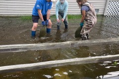 IMG_20250516_082410-2